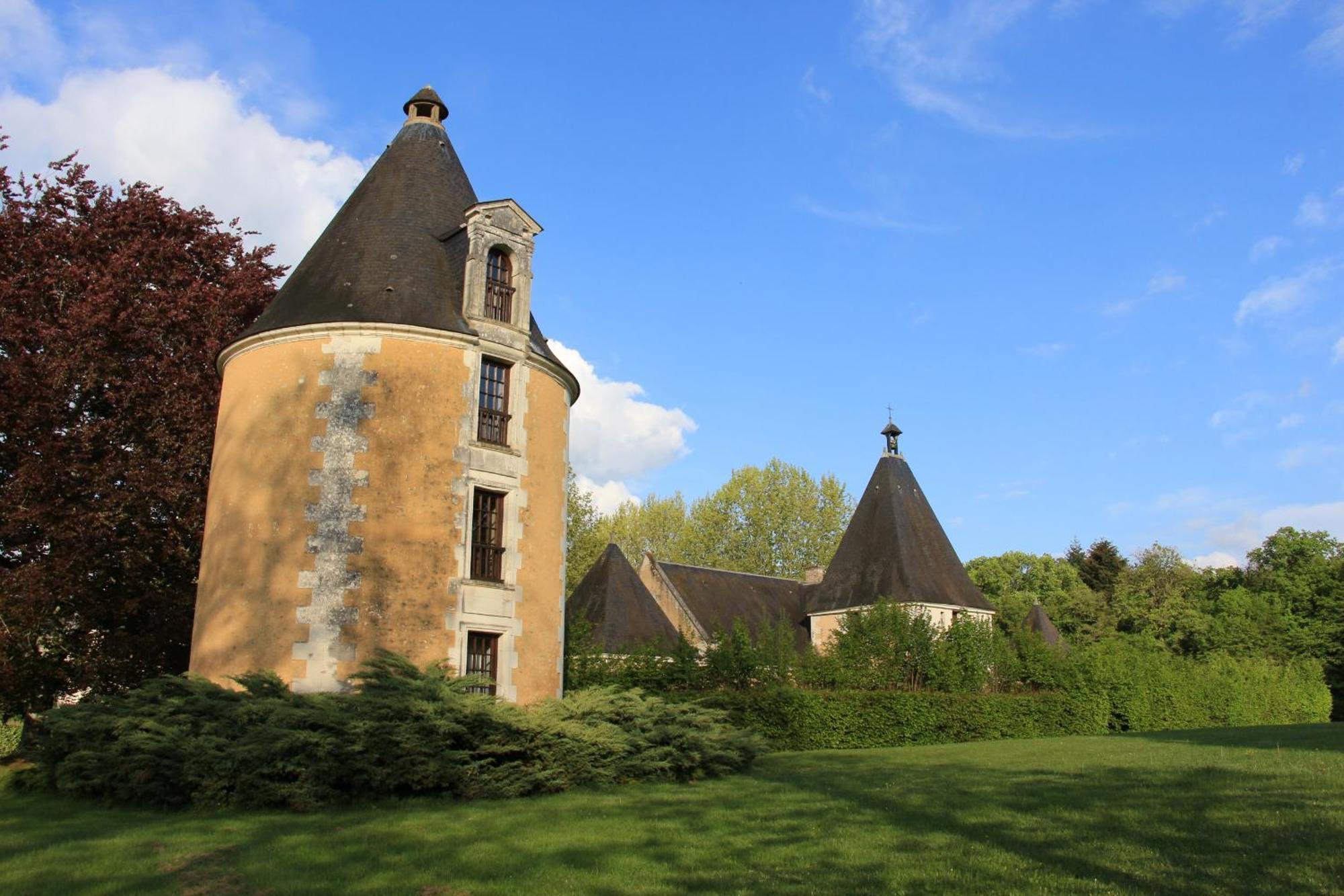 Chateau De La Menaudiere Chissay-en-Touraine Eksteriør bilde