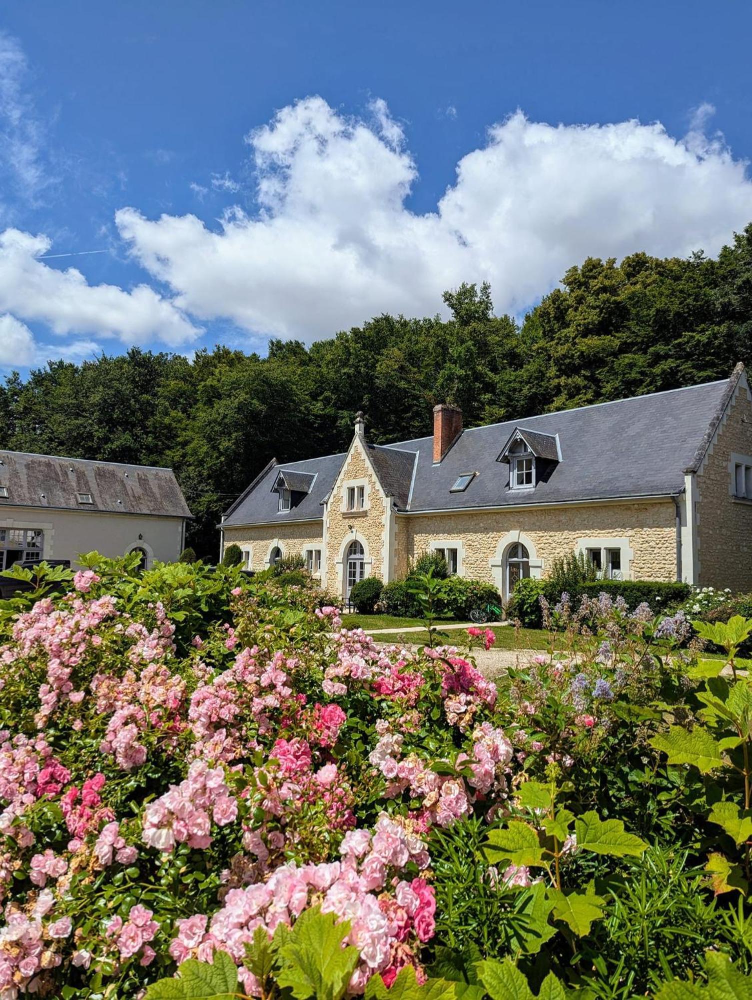 Chateau De La Menaudiere Chissay-en-Touraine Eksteriør bilde